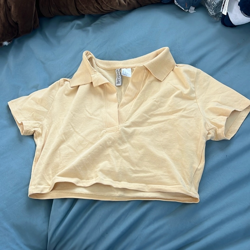 Divided crop top